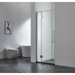 Shower Glass Frameless Swing Door 1170x2000MM